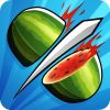 Fruit Ninja Fight Logo